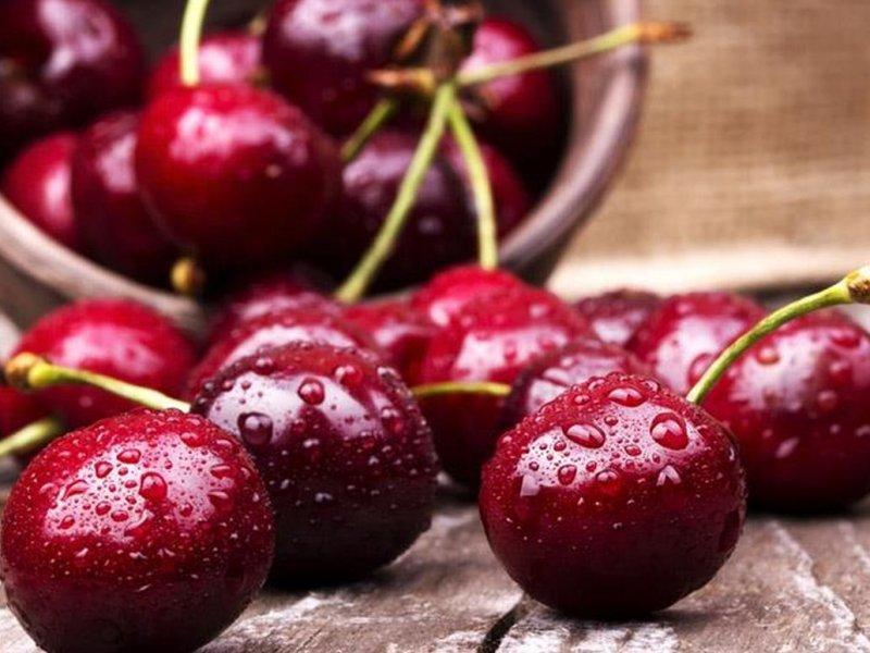 Вишня купить саженцы из питомника в Мытищах